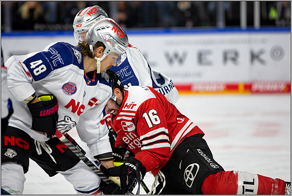 PENNY DEL; Koelner Haie- Nuernberger Ice Tigers; Koeln, 18.11.2022